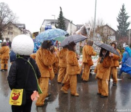 Umzug Lustenau